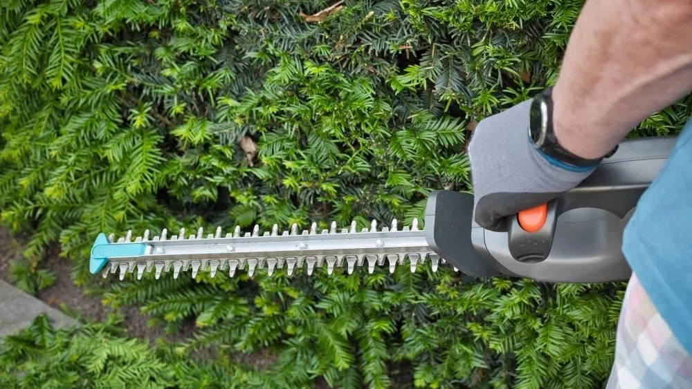How to Trim Hedges With Electric Trimmer: Expert Tips
